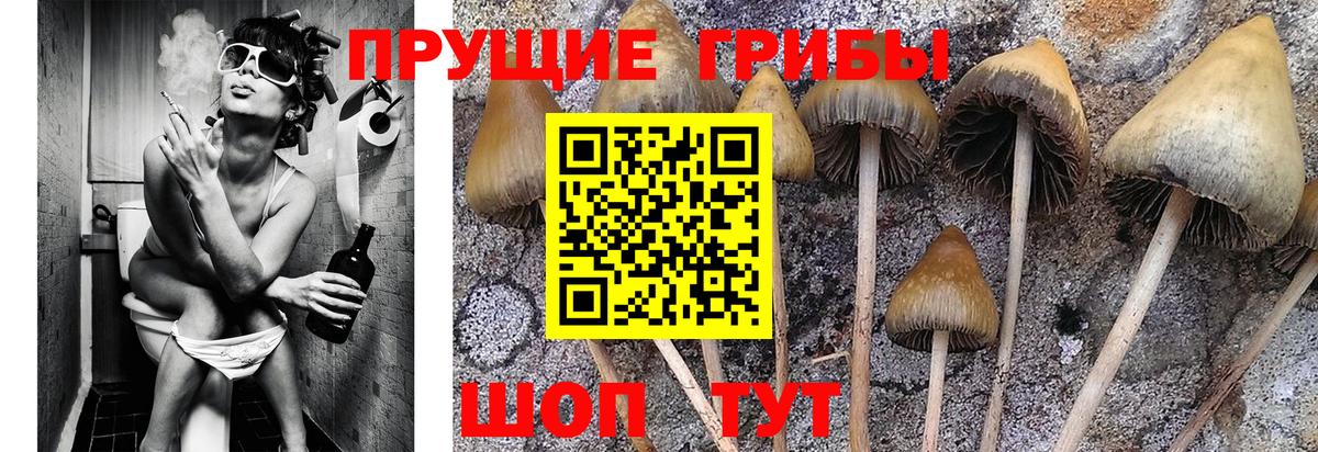 Псилоцибиновые грибы ЛСД Кировск